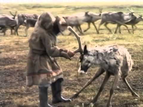 Видео: Путь к святилищу. Фильм Андрея Головнёва