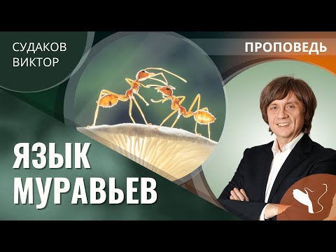 Видео: Виктор Судаков | Язык муравьев | Проповедь