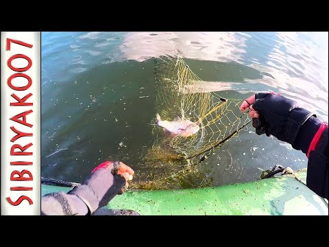 Видео: УЖАС!!! Везде СЕТИ!!! Рыбалка испорчена. Когда браконьеры наедятся!?