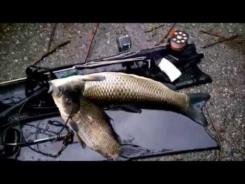 Видео: #РужьёдляПОVektorC#Тест ружья для подводной охоты Vector C