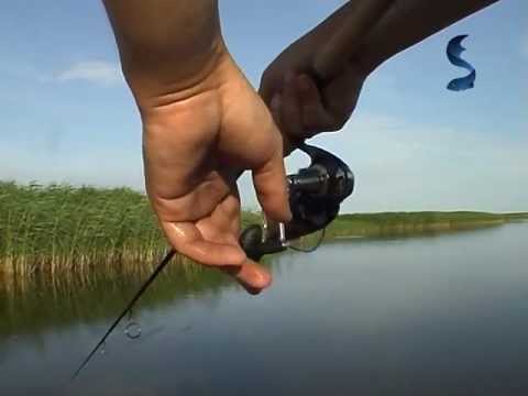 Видео: Ловля щуки от Алексея Шанина