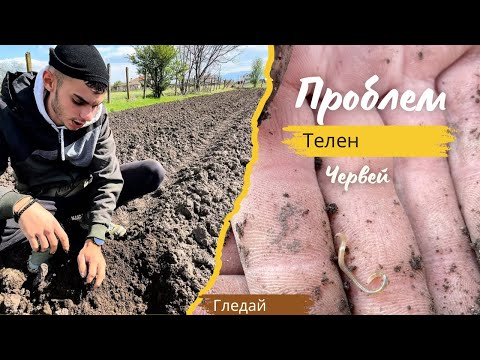 Видео: Не Очаквахме Това