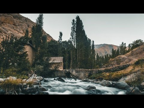 Видео: Некруз Мамадамонов - Доим му баёдат ту...