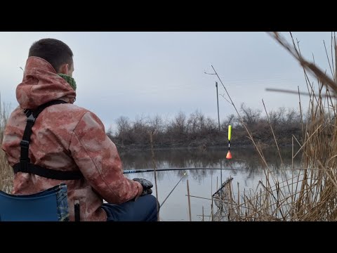 Видео: Рибалка на поплавок 2024. Відкриття сезону на поплавочку вудку. Ловля плотви. Дністер Маяки