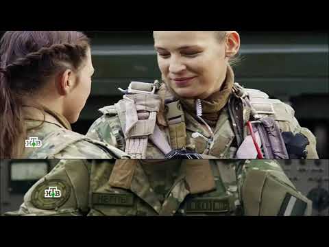 Видео: группа         нерпа    друзья