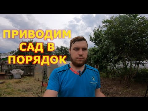 Видео: КУПИЛИ СТАРЫЙ ДОМ! ПРИВОДИМ САД В ПОРЯДОК