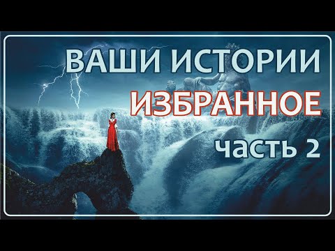 Видео: Ваши Истории - Избранное (часть 2)