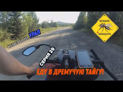 Видео: Велопоход Тюмень-Урал (серия 29)
