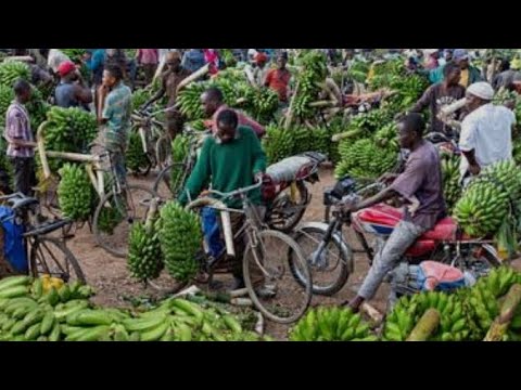 Видео: Готовим нашу местную еду матоке по-настоящему аутентичному рецепту для моей семьи в доме в африка...