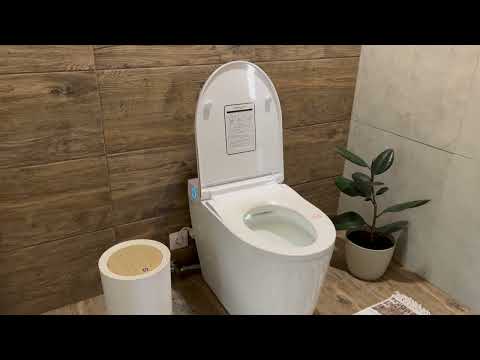 Видео: Электронный унитаз-биде с импульсным смывом Brunnen Wal BW-2402 Auto open/close (с выходом в пол)