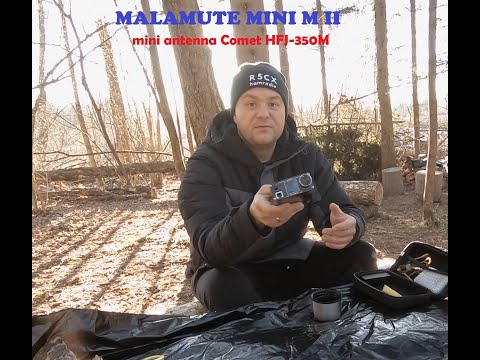 Видео: ☀Прогулка в лес с маламутом© Быстрый обед на огне🔥 Мои впечатления👍