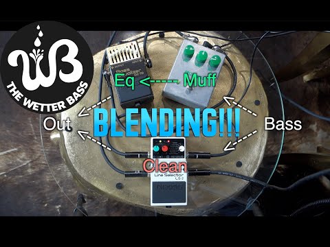 Видео: Какой звук Muff лучше всего подходит для баса? Сочетание его с чистым басовым тоном и эквалайзером?