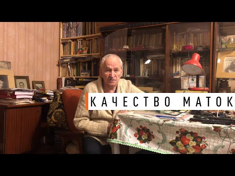 Видео: Качество маток КАШКОВСКИЙ