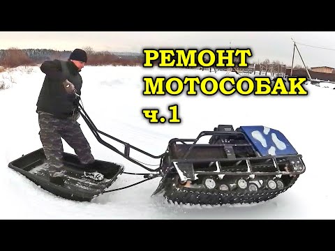 Видео: Ремонт мотособак (мотобуксировщик Мужик, Райда) часть 1