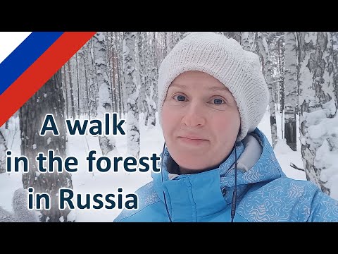 Видео: Прогулка в лесу, русская зима, Russian winter, forest in Russia, Russian nature