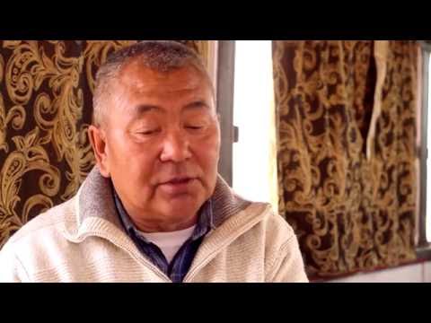 Видео: Хаан тэмээ 01 HAAN TEMEE