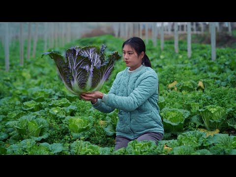 Видео: Пряная капуста: превращаем капусту во вкусную еду без варки