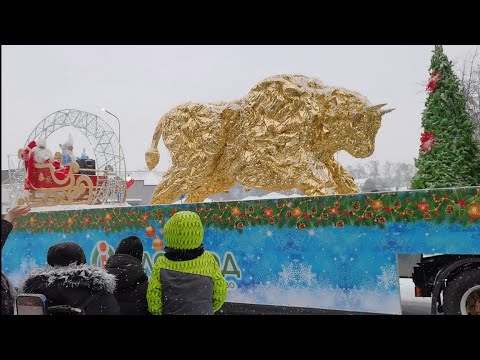 Видео: Берестейские сани 2024 Пинск