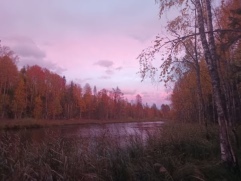Видео: Последняя аномалия Вологодчины. Так и осталась неразгаданной. Безлюдные пространства.