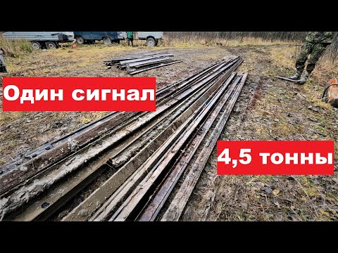 Видео: Концентрация металла зашкаливает! Один сигнал-4,5т.