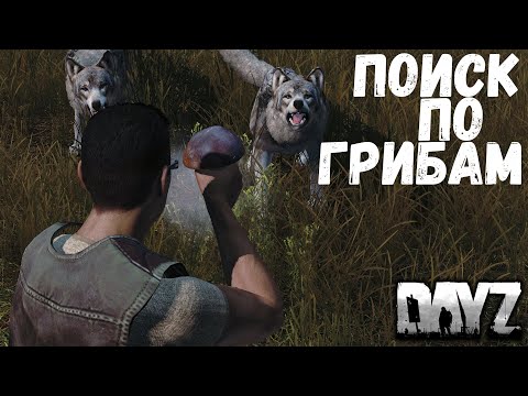 Видео: Отслеживание игроков с помощью гриба - Dayz