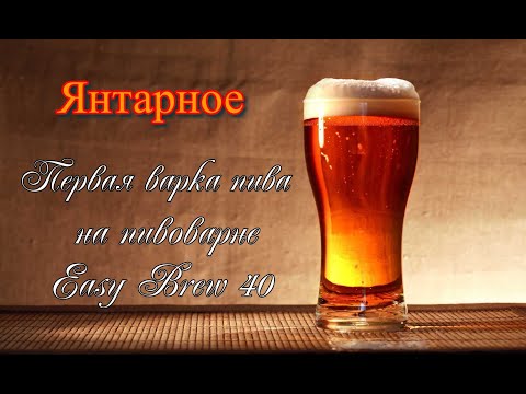 Видео: Варим  пиво на пивоварне Easy Brew 40