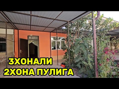 Видео: 3ХОНАЛИ КВАРТИРВ 2ХОНА НАРХИГА #сотилади #xorazm #uyjoy #2025 #arzonuylar #shorts 