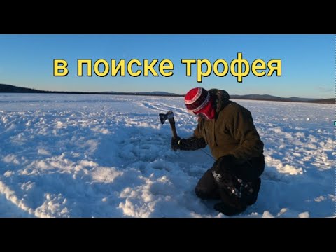 Видео: Аляска.В поиске трофея.Лед 60 см.Супер клёв.