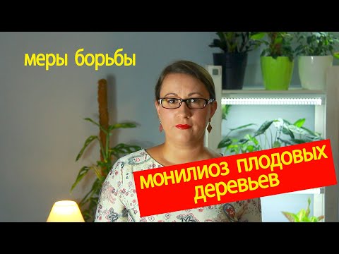 Видео: Монилиоз плодовых деревьев. Плодовая гниль и монилиальный ожог. Методы борьбы.