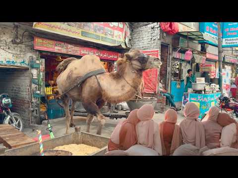 Видео: 🇵🇰 Лахор, Пакистан: пешеходная экскурсия в формате 4K по оживленной улице Band Road