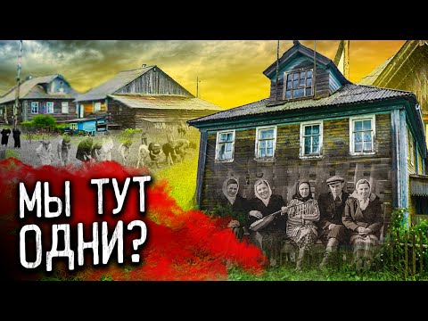 Видео: Заброшенная деревня: там прошло все детство. Вернулся спустя 20 лет в глушь Ярославской области