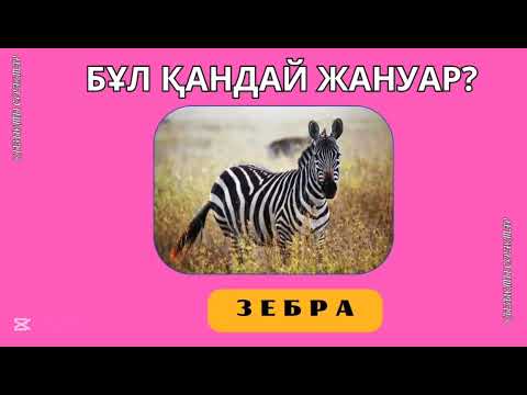 Видео: ОРНЫ АУЫСҚАН ӘРІПТЕРДЕН ЖАНУАРЛАР АТАУЫН ТАП!🐯🐆🦄🐗🐎#quizgames #викторина