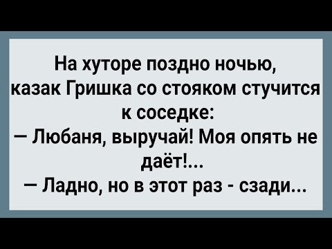 Видео: Как Гришка Казак По Бабам Бегал! Сборник Свежих Анекдотов! Юмор!