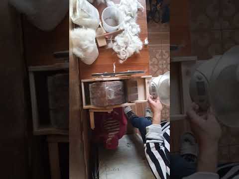 Видео: чешу самоеда на кардере