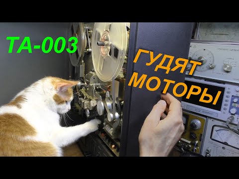 Видео: Мамкин токарь с кошкой глумятся. Зажевало ленту