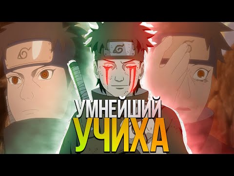 Видео: КАК ЛЮДИ НЕДООЦЕНИВАЮТ ШИСУИ