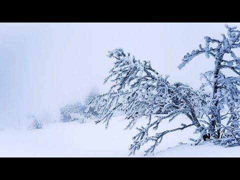 Видео: Расслабляющая СИЛЬНАЯ МЕТЕЛЬ и ПУРГА. Успокаивающий ШУМ ВЕТРА, ЗВУКИ ВЬЮГИ-10 часов для отдыха и сна