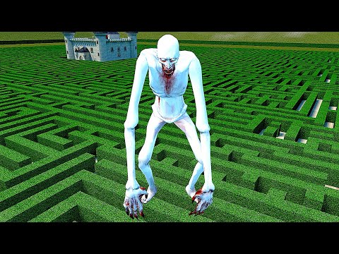 Видео: SCP В БОЛЬШОМ ЛАБИРИНТЕ ГОНЯЮТСЯ ЗА НАМИ SANDBOX ► Garry's Mod