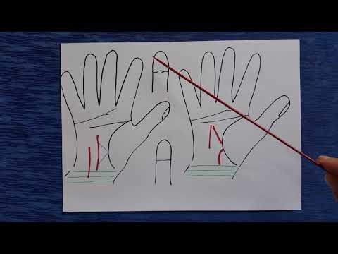 Видео: Начало линии судьбы. Часть 2. Хиромантия