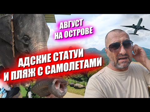 Видео: Шторм, адские статуи, слониха в реке и кот в ресторане. Обычный месяц в раю