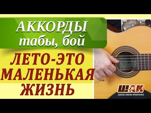 Видео: ЛЕТО-ЭТО МАЛЕНЬКАЯ ЖИЗНЬ - О.Митяев как играть на гитаре. Уроки игры на гитаре для начинающих