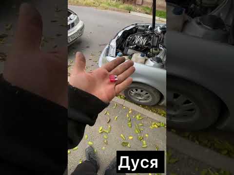 Видео: Ауди оталмау #automobile #автокөлік #rek #шымкент