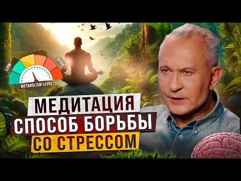 Видео: Как правильно медитировать? Всё, что нужно знать для эффективной практики