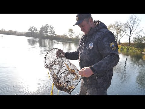 Видео: Инспекторы Рыбнадзора провели рейд в Глушковском районе