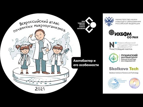 Видео: Азотобактер и его особенности