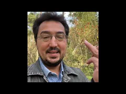 Видео: Кто ДОЛЖЕН знакомиться и ухаживать: М или Ж?!