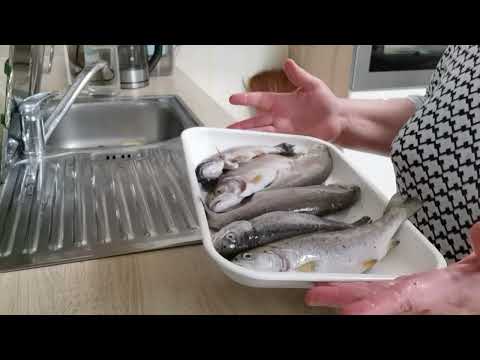 Видео: РЫБУ Я ЛЮБЛЮ, КАК И ВСЕ СЕВЕРЯНЕ! | #442