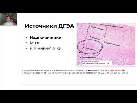 Видео: Новая опция в лечении менопаузальных расстройств:практический опыт применения дегидроэпиандростерона