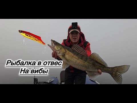 Видео: Такого клевa судака и щуки я не ожидал! Рыбалка в отвес на вибы🔥