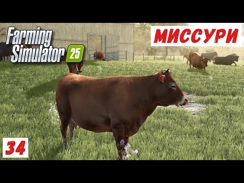 Видео: FS 25 - Альма, Миссури.  ТЕЛЯТА ВЫРОСЛИ.  КОРОВ НА МЯСО.  КОПЧЁНАЯ СВИНИНА # 34